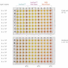 IsoFast® Hot Start Bst Polymerase