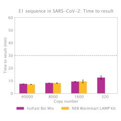 IsoFast® Bst 1-Step Mix