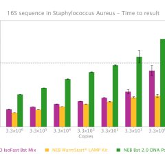 IsoFast® Bst Polymerase