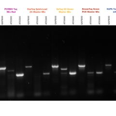 PCRBIO Taq Mix Red