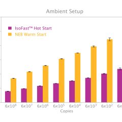 IsoFast® Hot Start Bst Polymerase