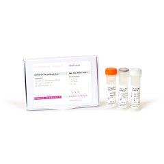 IsoFast® Bst Polymerase