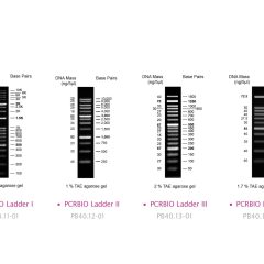 PCRBIO DNA Markers