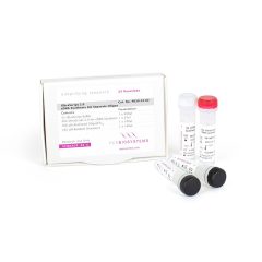 UltraScript 2.0 cDNA Synthesis Kit Separate Oligos