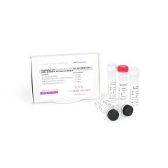 UltraScript 2.0 cDNA Synthesis Kit Separate Oligos