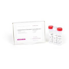 UltraScript Reverse Transcriptase- PB30.12-01