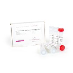 UltraScript Reverse Transcriptase- PB30.12-04