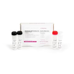 UltraScript™ cDNA Synthesis Kit Separate Oligos