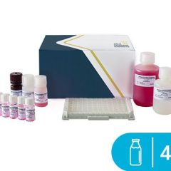 SENSISpec ELISA Beta-Lactoglobulin 48 Wells