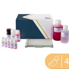 SENSISpec ELISA Brazil nut 48 Wells