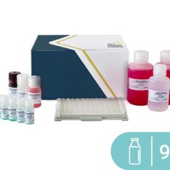 SENSISpec ELISA Casein 96 Wells