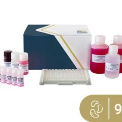 SENSISpec ELISA Cashew 96 Wells