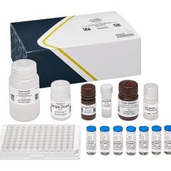 Metolachlor, ELISA, 96 tests