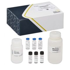 Glyphosate, Derivatization Kit, Magnetic Particle ELISA