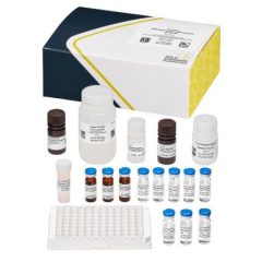 Cylindrospermopsin, ELISA, 96 tests