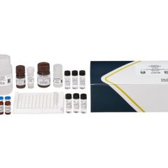 Phthalates, ELISA, 96-test