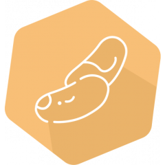 SENSISpec Spike Solution Brazil nut