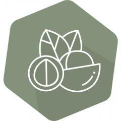 SENSISpec Spike Solution Macadamia nut