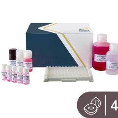 SENSISpec ELISA Hazelnut 48 Wells
