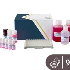SENSISpec ELISA Hazelnut 96 Wells