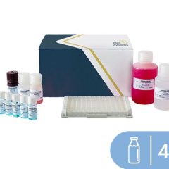 SENSISpec ELISA Milk 48 Wells