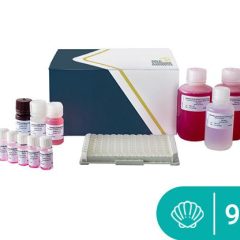 SENSISpec ELISA Molluscs (Tropomyosin) 96 wells