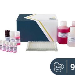 SENSISpec ELISA Ovalbumin 96 wells