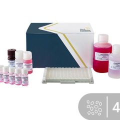 SENSISpec ELISA Sesame 48 wells