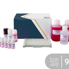 SENSISpec ELISA Sesame 96 wells