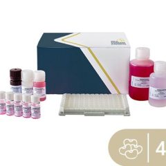 SENSISpec ELISA Soy 48 wells