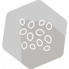 SENSISpec Spike Solution Sesame