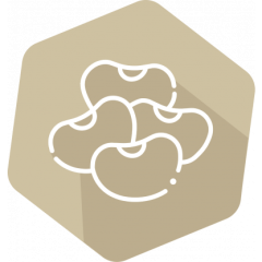 SENSISpec Spike Solution Total Soy