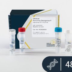 VIRSeek Food Norovirus Genotype II Virus