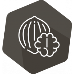 SENSISpec Spike Solution Walnut