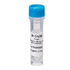 Purified Cry3B protein