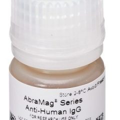 AbraMag anti-Human Magnetic Beads, 20 mL, 5 mg/mL