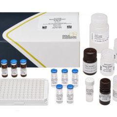 Salinomycin/Narasin, ELISA, 96-test