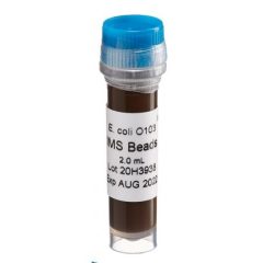 E. coli O103, Immunomagnetic Separation (IMS) Beads (2 mL)