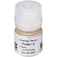 AbraMag Protein G Magnetic Beads, 1 mL sample size, 5 mg/mL