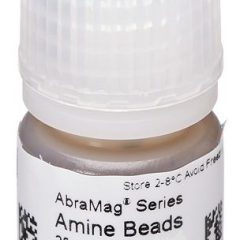 AbraMag Amine Magnetic Beads, 2 mL, 2.5%