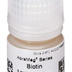 AbraMag Biotin Magnetic Beads, 1 mL sample size, 5 mg/mL