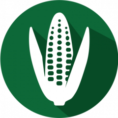 GMOIdent RT IPC (LR) Event MON87460 Corn