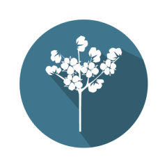 SpeciesIdent RT Cotton IPC (LR)