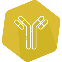 SENSISpec T-2 Toxin Rapid