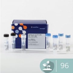 GMOScreen RT 35S/NOS/ABII IPC (NR)