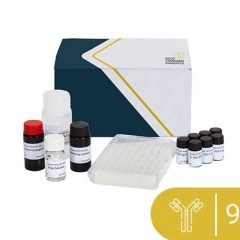 I'screen AFLA M1 milk, ELISA, 96 det.