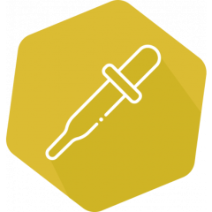 SENSIColumn IAC Ergot Alkaloids