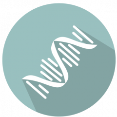 VIRSeek RNAExtractor AE1