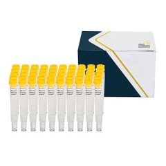 SENSIColumn IAC Aflatoxin M1