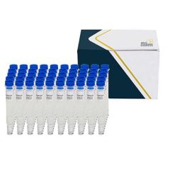 SENSIColumn IAC Combi Afla+Ochra